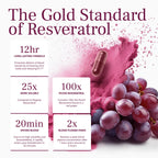 VINIA Piceid Resveratrol Supplement Capsules. Increases Blood Flow and Nitric Oxide. Blood Pressure and Heart Health Support | Antioxidant from Red Grapes | Non-GMO, 30 Count