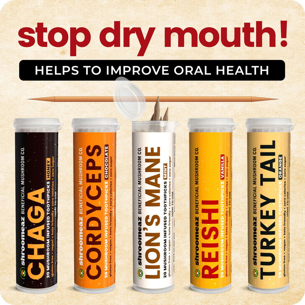 Shroomeaz Flavored Infused Toothpicks (Variety Reishi, Cordyceps, Lions Mane, Turket Tail, Chaga) 5 Pack