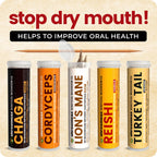 Shroomeaz Flavored Infused Toothpicks (Variety Reishi, Cordyceps, Lions Mane, Turket Tail, Chaga) 5 Pack