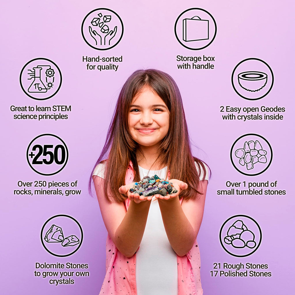 DANCING BEAR Rock, Mineral & Geodes Treasure Hunt Activity Kit (250 Pc Set) Real Shark Teeth Fossils, ID Sheet & Rock Book, STEM