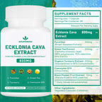 Spliferikou Ecklonia Cava Extract, 800mg, 60 Veggie Capsules with Fucoidan, Green Tea, Turmeric, CoQ10, Dietary Supplement