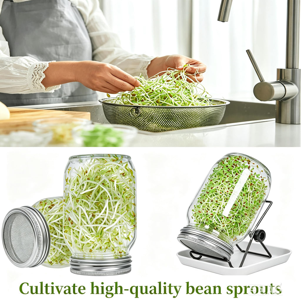 Lulonpon Sprouting Kit, 2 Sprouting Jar Kits, Wide Mouth Quart Mason Jars with Stainless Steel Screen Sprout Lids,1000ml, Stand and Canning Brush,Seed Sprouter Set for Growing Broccoli, Alfalfa