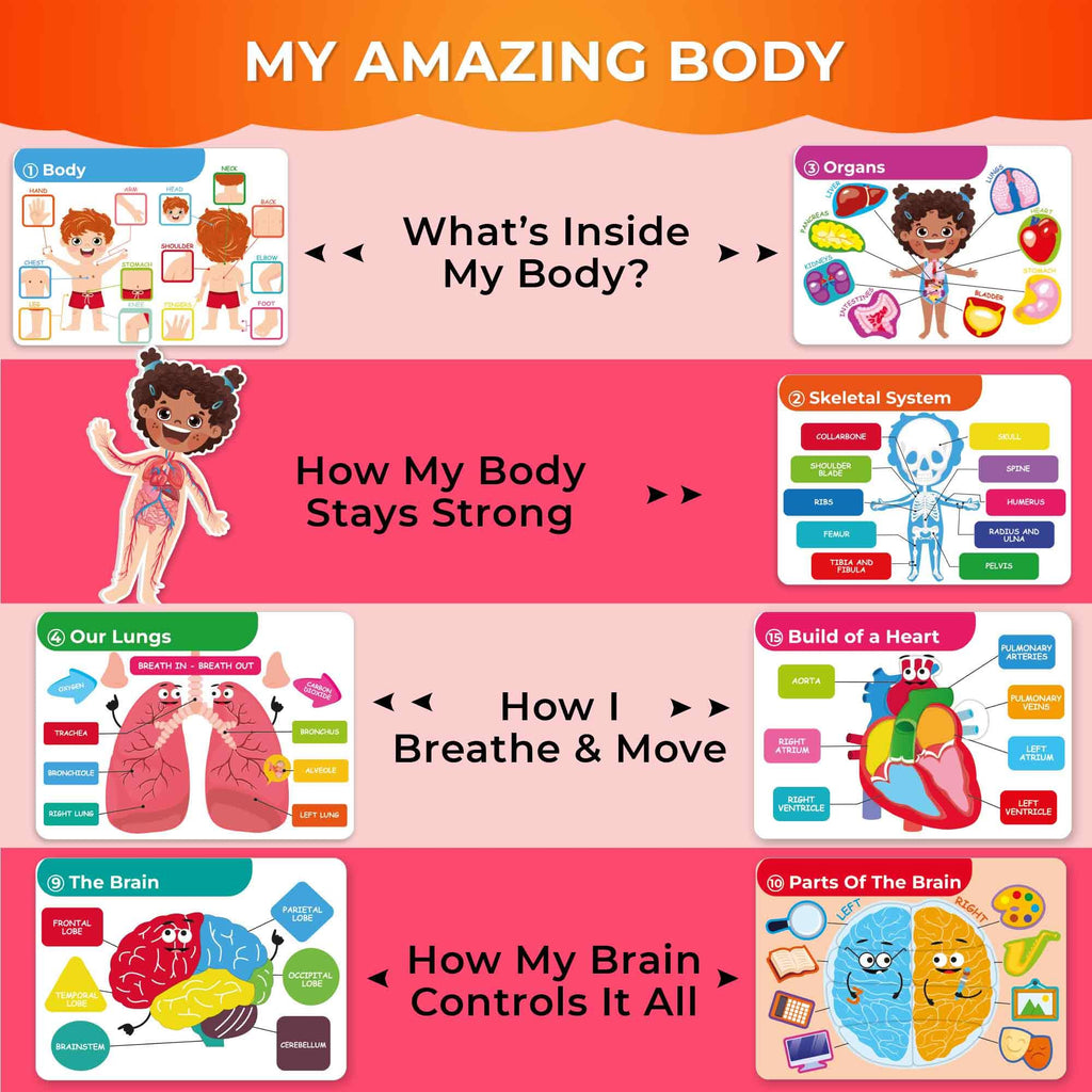 QUOKKA Human Body Busy Books for Kids Ages 4-8 - Fun Human Anatomy Activities for Kids Learning at Home or Classrooms - My Preschool Montessory Busy Book for Toddlers 3-5 I Comes Fully Assembled