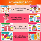 QUOKKA Human Body Busy Books for Kids Ages 4-8 - Fun Human Anatomy Activities for Kids Learning at Home or Classrooms - My Preschool Montessory Busy Book for Toddlers 3-5 I Comes Fully Assembled