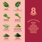 8Greens Supergreens Gummies | Super Greens Powder Superfood Gummy for Metabolism, Immunity & Focus, Digestive Health Enzymes, Organic: Chlorella, Spirulina, Aloe Vera, Peach Flavor, 150 Count