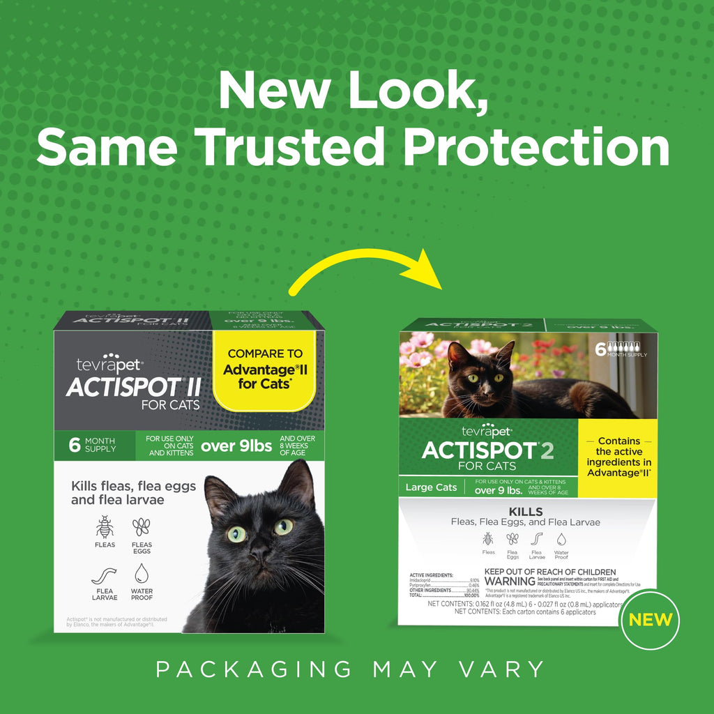 TevraPet Actispot 2 Flea Treatment for Large Cats 9+ lbs, 6 Doses
