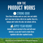 Liquid Fence Deer And Rabbit Repellent Ready-To-Use, Apply Year-Round, 1 Gallon