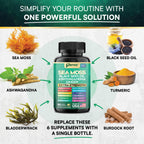 Sea Moss Black Seed Oil Supplement, 16-in-1 Ashwagandha, Turmeric, 60 Caps