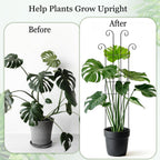 3 Set Tall Trellis for Potted Plants Indoor, 32'' Expandable Garden Metal Trellis for Climbing Plants Outdoor, Monstera Plant Support for Hoya, Vine, Ivy Pothos (Black)