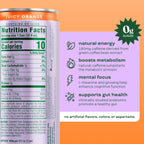 Bloom Nutrition Zero Sugar Energy Drink, Orange, 12oz 12pk