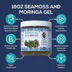 Sea Moss Gel with Moringa and Cinnamon - Organic Sea Moss Gel for Skin and Nail Health, Immune System Support, and Enhanced Energy Level - Essential Vitamin and Mineral Rich Formulation - 16oz.