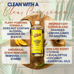 Whip-It All Natural Enzyme Cleaner Stain Fighting Kit - Professional Strength Stain Remover Spray 32oz and Concentrate Multi-Purpose Stain Remover 32oz - Made in the USA