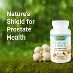 DR. HERBAL WELL Prostate Shield – Clinically Tested Immune-Boosting 100% Natural No Added Vitamins Minerals or Sugar