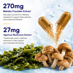 FINE JAPAN Fucoidan Capsules with Mekabu Seaweed & Agaricus Mushroom - 30 Capsules - Immune Support Supplement - Made in Japan - GMP, ISO9001 Certified