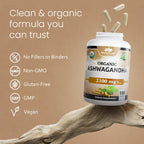 NaturaLife Labs Organic Ashwagandha 2100 mg per Serving – Herbal Supplement Root Powder & Extract – 100 Capsules – Vegan, Non-GMO, Gluten-Free (2 Pack)