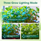 MQHUAYU 10-Pack Self Watering Seed Starter Tray with Grow Light 120Cell