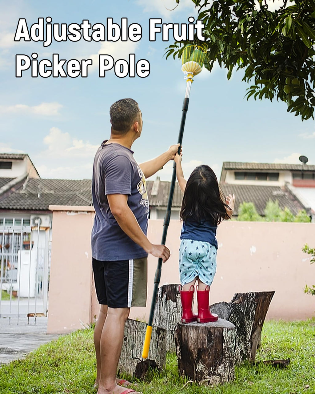 BlumeTrec 6.5FT Fruit Picker with Basket, Apple Picking Tool 35–77 Inch Adjustable Pole, Long-Handle Mango Grabber, Tree Fruit Catcher for Harvesting Lemon Pear Orange Avocado Peach Citrus Grapefruit