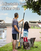 BlumeTrec 6.5FT Fruit Picker with Basket, Apple Picking Tool 35–77 Inch Adjustable Pole, Long-Handle Mango Grabber, Tree Fruit Catcher for Harvesting Lemon Pear Orange Avocado Peach Citrus Grapefruit
