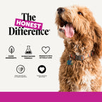 Pet Honesty Vet Recommended 10-in-1 Dog Multivitamin, 90 Ct, Peanut Butter