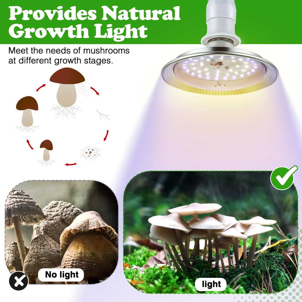 Meonum 1 Pack Mushroom Grow Light with 3/6/9 Hour Timer and 6.5ft Cord