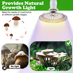 Meonum 1 Pack Mushroom Grow Light with 3/6/9 Hour Timer and 6.5ft Cord