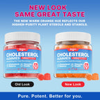 Zetelixia Cholesterol Lowering Supplements Gummies, Cholesterol Gummies with Plant Sterols & Stanols, Red Yeast Rice, Lower Cholesterol Naturally – Vegan, Non-GMO, Mixed Berry Flavor, 90Ct
