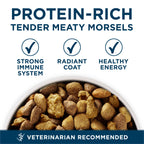Purina ONE Plus Adult Large Breed Dry Dog Food, Chicken, 40 lb Bag