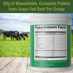 Grass Fed Beef Protein Powder - Lactose Free Great Tasting Beef Protein Isolate. Complete Animal Based Non Dairy Paleo Carnivore Supplement for Prime Muscle Building. No Whey. Salted Caramel Flavor