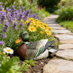 PTAHAN Mallard Duck Decor Single Outdoor Statue-Realistic Resin Floating Mallard Duck, Waterproof for Pond, Garden, Patio, Pool, Backyard Lawn Ornament. Also Great As Cake Topper.