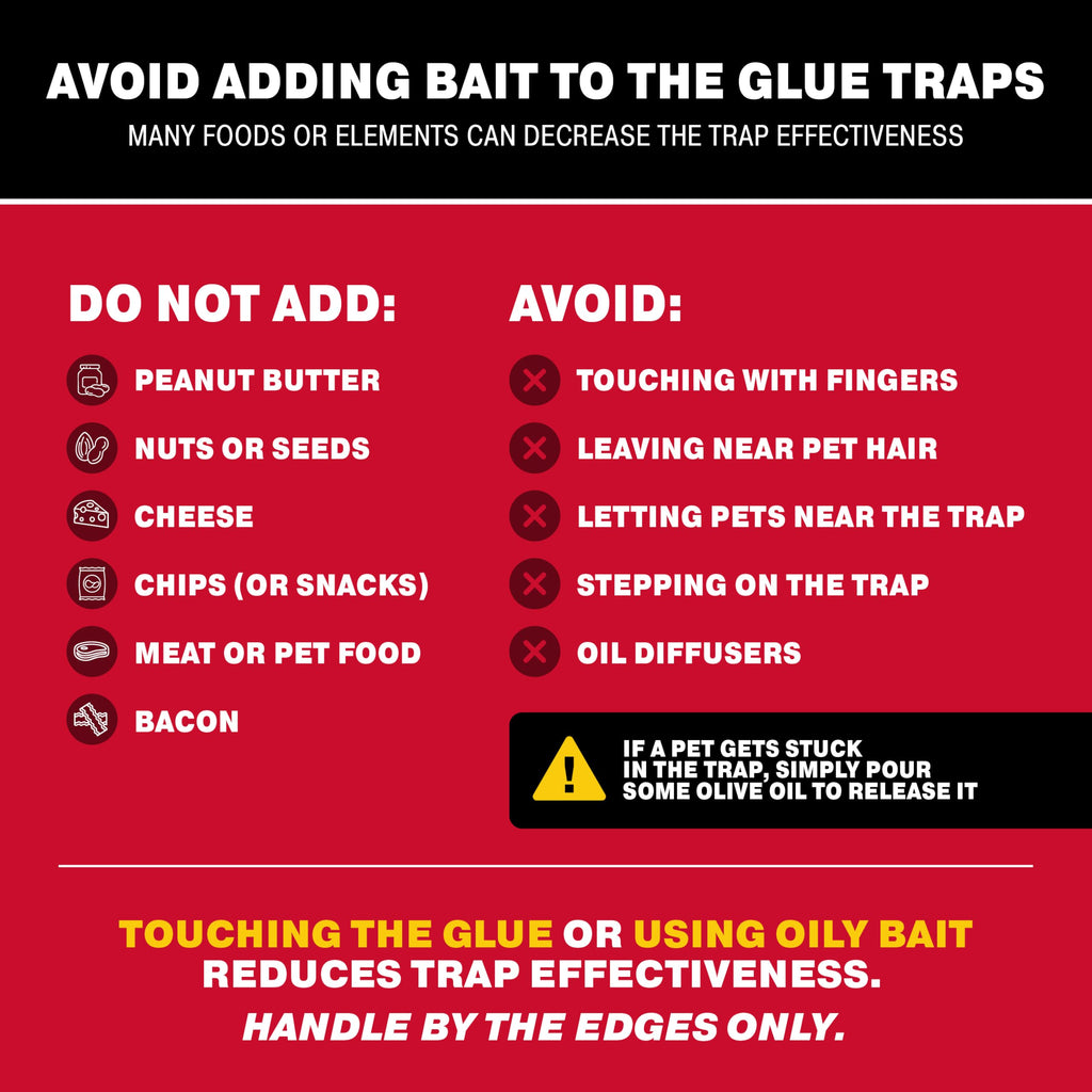 Catchmaster Max-Catch Mouse & Insect Glue Trap 72pk, Mouse Traps Indoor for Home, Sticky Pest Control Adhesive Tray for Catching Bugs, Bulk Classic Glue Boards