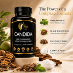 Cocó March N.M.D Candida Cleanse – 30 Day Herbal Detox Cleansing with Digestive Enzymes for Gut Health & Immune Support – Gluten Free, Vegan, Non-GMO, Dairy Free, Soy Free – 120 Veggie Caps