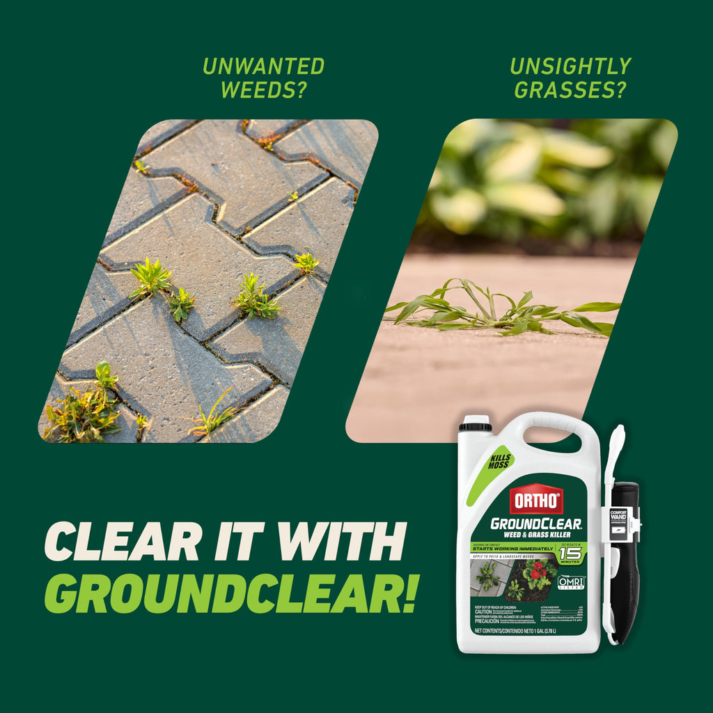 Ortho GroundClear Weed & Grass Killer with Comfort Wand, 1 gal.