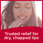 Carmex Classic Medicated Lip Balm Sticks, Lip Moisturizer for Chapped Lips, 12 Count (4 Packs of 3)