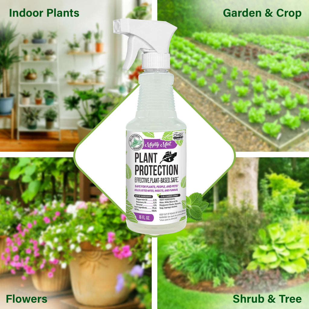 Mighty Mint Peppermint Oil Plant Protection Spray – Insect & Pest Control for Gnats, Spider Mites & Aphids – Plant-Based, Easy-to-Use - 16 oz