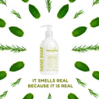 Sapadilla Liquid Hand Soap - Rosemary + Peppermint - Made with 100% Pure Essential Oil Blends, Cleansing & Moisturizing, Aromatic & Fragrant Hand Soap, Plant Based, Biodegradable, 12 Ounce (Pack of 3)