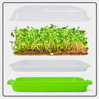 Microgreens Growing Trays with Lids and Coconut Fiber Mat,Seed Sprouter Tray with Drain Holes,Seed Starter Tray Reusable,Microgreens Growing Trays,Cat Grass Growing Kit for Indoor Cats (Pack 3)