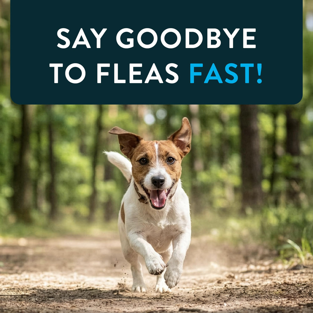 Capstar Oral Flea Tablets Dogs 2-25 lbs, Nitenpyram, 6-Dose