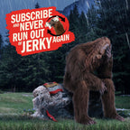 Jack Link's Original Beef Jerky Sticks - 0.92 oz (20 Pack)