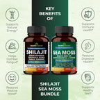 Shilajit Sea Moss Ashwagandha Combo Bundle - Black Seed Oil, Turmeric, Rhodiola Rosea, Panax, Ginseng Supplement | 120 Capsules, Better Than Gummies, Resin | Seamoss for Men & Women