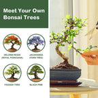 LUOJIBIE Bonsai Tree Kit, Complete Bonsai Starter Growing Kit, Christmas Birthday Gifts for Women Men Mom Dad Girls Boys, Gardening Gift for Plant Lovers, White Elephant Gifts for Adults