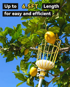 BlumeTrec 6.5FT Fruit Picker with Basket, Apple Picking Tool 35–77 Inch Adjustable Pole, Long-Handle Mango Grabber, Tree Fruit Catcher for Harvesting Lemon Pear Orange Avocado Peach Citrus Grapefruit