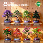 Bonsai Tree Starter Kit – 8 Varieties Indoor Bonsai Trees Plant Seeds with Drainage Design Pots, Gardening Gifts for Women, High-Value Plant Gifts
