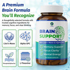 1 Body Brain Supplement – Nootropic Brain Booster with Alpha GPC, Ginkgo & Bacopa – 90 Vegan Capsules – Memory Supplement for Brain Support, Focus Pills, Brain Fog Supplements for Women and Seniors