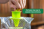 RESCUE! Disposable Summer Yellowjacket Trap - Mountain & Pacific Formula - 6 Traps