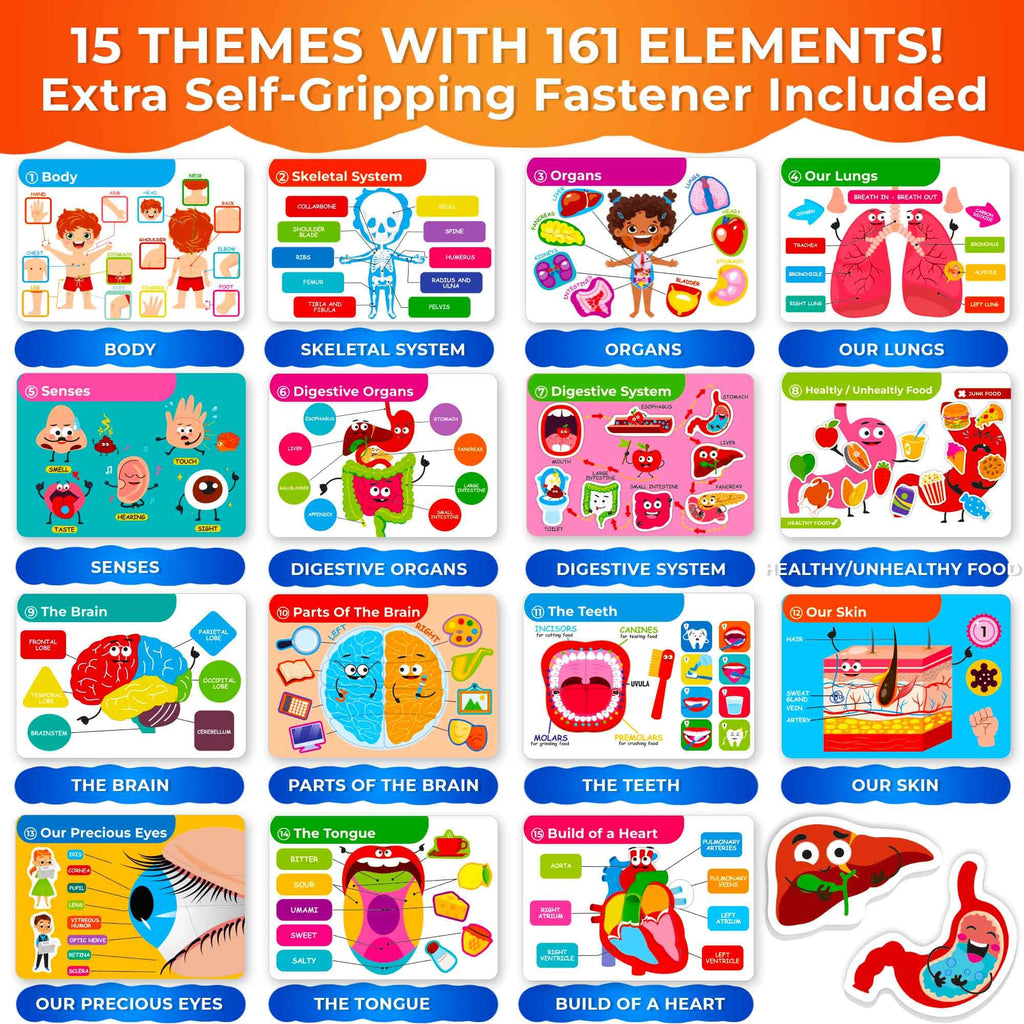 QUOKKA Human Body Busy Books for Kids Ages 4-8 - Fun Human Anatomy Activities for Kids Learning at Home or Classrooms - My Preschool Montessory Busy Book for Toddlers 3-5 I Comes Fully Assembled