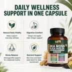 MPRAYAN Sea Moss Black Seed Oil Ashwagandha Capsules - 10:1 Extract Blend 60ct