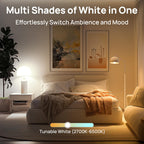 Linkind Smart Light Bulbs, Warm White to Daylight (2700K-6500K), Alexa Light Bulbs, Work with Alexa, Google Home, AiDot, 60W Equiv, Efficient 8.5W, 2.4G WiFi Bluetooth LED CRI>90, A19 E26 800LM, 4Pack