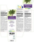 Naturalma Rhubarb (Rheum palmatum or Rheum officinale) Root and Rhizome Alcohol-Free Tincture - 4 fl oz Liquid Extract in Drops - Herbal Supplement - Vegan