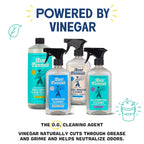 Aunt Fannie's Toy and Highchair Cleaner, Hypoallergenic, Multi-Purpose Spray Powered by Vinegar for Toys, High Chairs, Car Seats, Swings, Counters, and Other Hard Surfaces Fragrance Free, Pack of 6