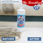 Seat Reviver Marine Mildew Stain Remover for Boat Seats, Vinyl & Plastic | Light Gel That Clings Longer | Fast-Acting | No Scrub | 32oz